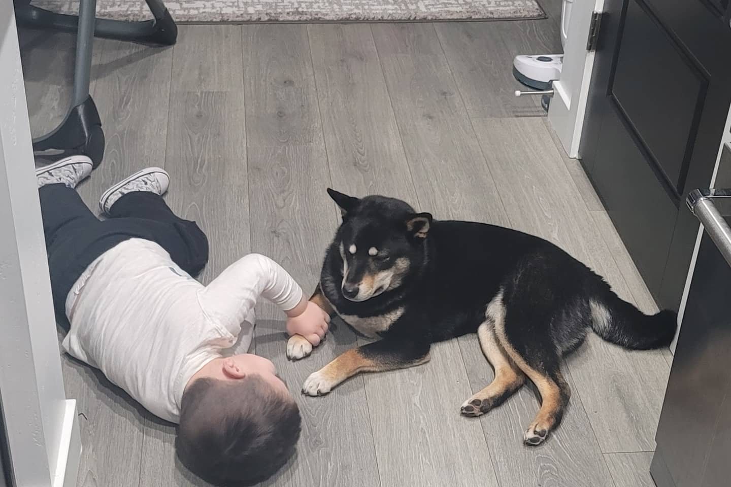 Mica lying on the kitchen floor beside a small child, paw near his hand